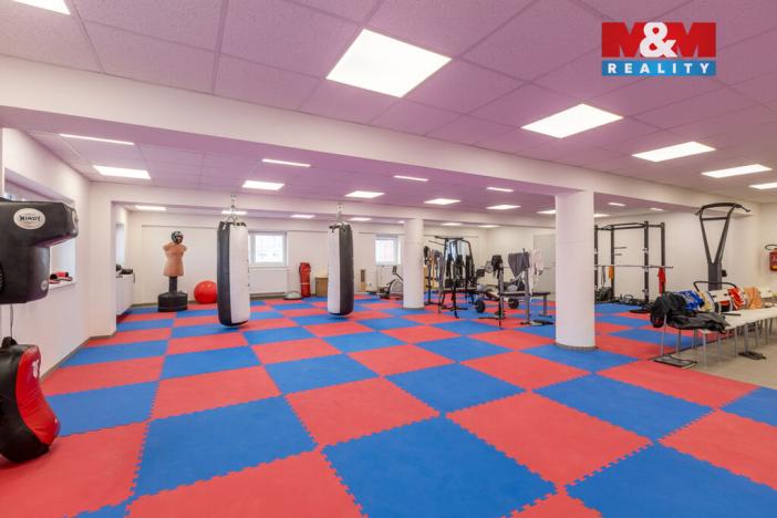 Pronájem kanceláře, Louny, Březinova, 166 m2