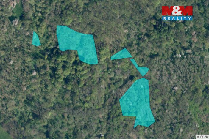 Prodej lesa, Úštěk - Habřina, 13742 m2