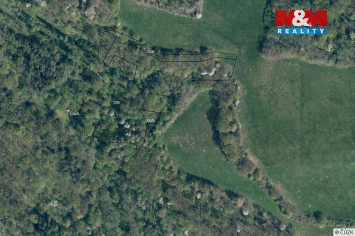 Prodej lesa, Úštěk - Habřina, 18772 m2