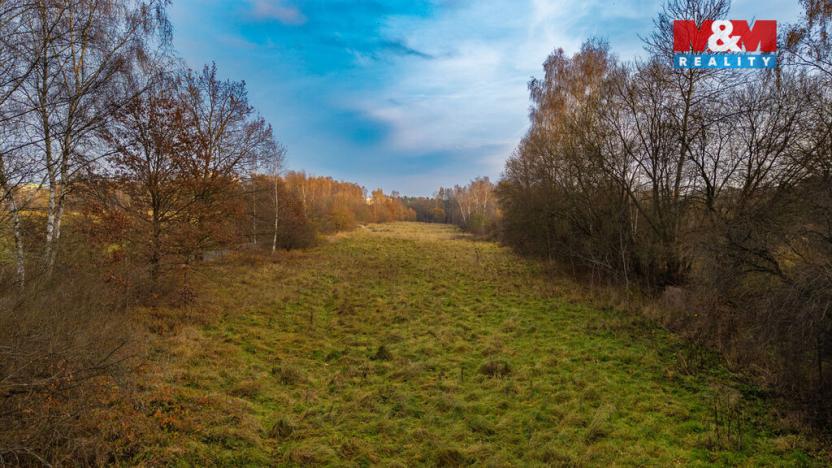 Prodej louky, Česká Lípa, 5589 m2