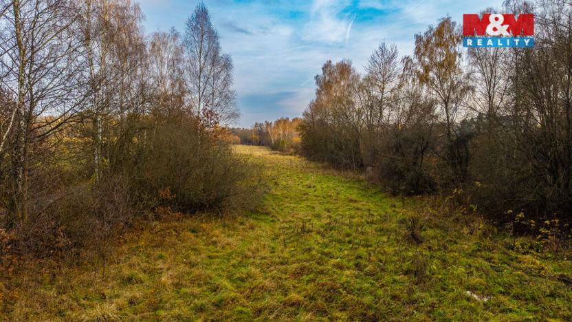 Prodej louky, Česká Lípa, 5589 m2