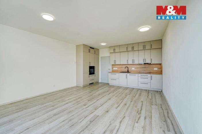 Pronájem bytu 1+kk, Plzeň, 45 m2