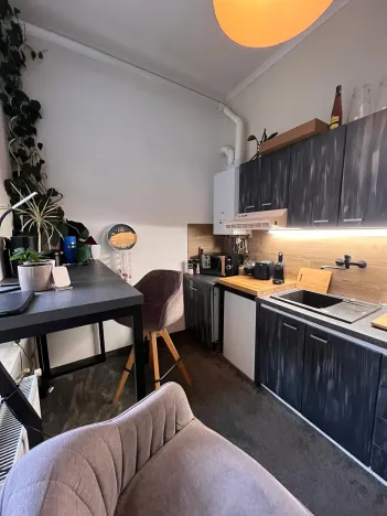 Prodej bytu 1+1, Karlovy Vary, Foersterova, 32 m2