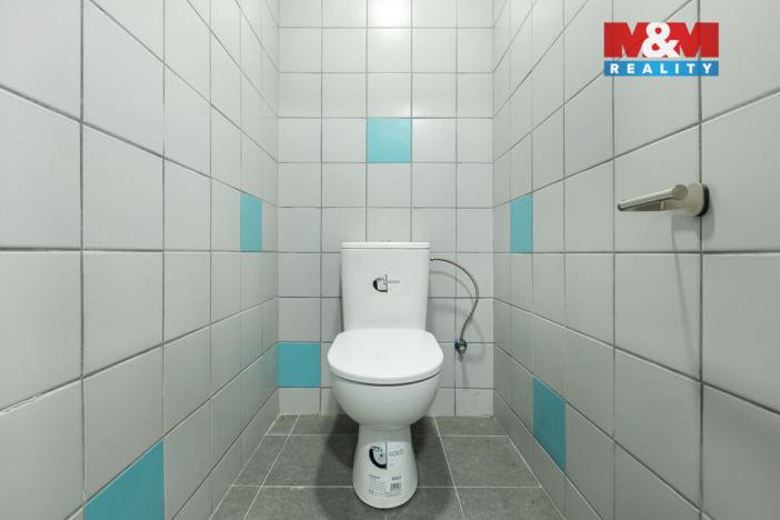 Pronájem obchodního prostoru, Louny, Březinova, 210 m2