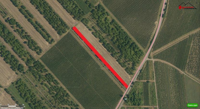 Prodej zahrady, Velké Bílovice, 3450 m2