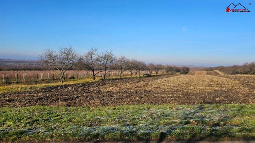 Prodej zahrady, Velké Bílovice, 3450 m2