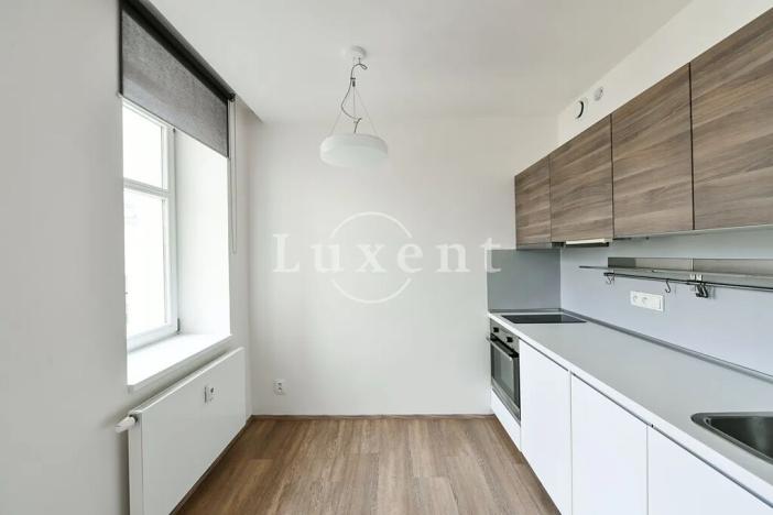 Pronájem bytu 1+kk, Praha - Vinohrady, Lucemburská, 30 m2