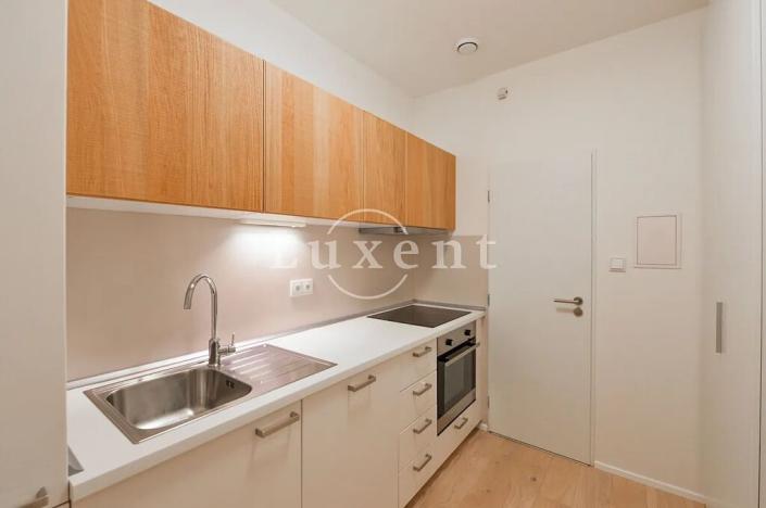 Pronájem bytu 2+kk, Praha - Vinohrady, Lucemburská, 50 m2