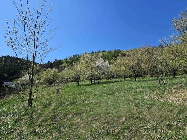 Prodej pozemku pro bydlení, Štěpánov nad Svratkou, 3802 m2