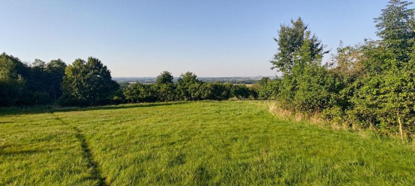 Prodej pozemku, Vyšní Lhoty, 3033 m2