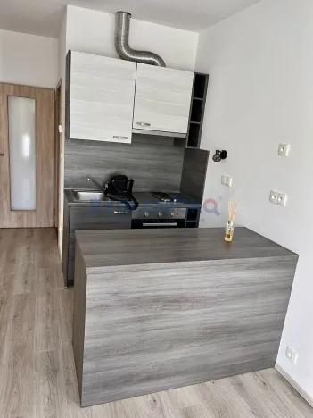 Pronájem bytu 1+kk, České Budějovice, 35 m2