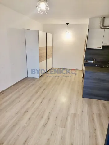 Pronájem bytu 1+kk, České Budějovice, 35 m2