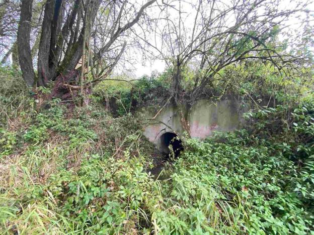 Prodej pozemku, Horní Dvořiště, 10042 m2