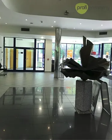 Pronájem obchodního prostoru, Havířov, U Stromovky, 400 m2