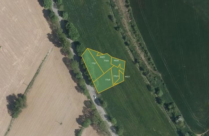 Prodej pole, Černá, 17687 m2