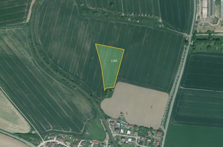 Prodej podílu pole, Poběžovice, 64029 m2
