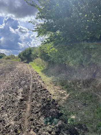 Prodej louky, Praha - Královice, 698 m2