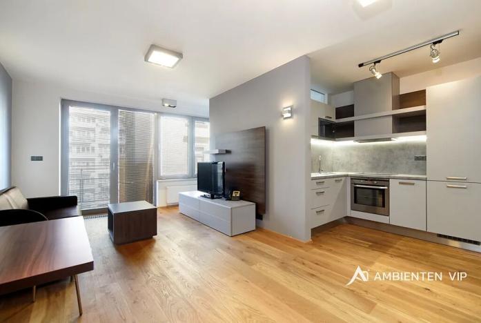 Pronájem bytu 1+kk, Brno, Kopečná, 37 m2