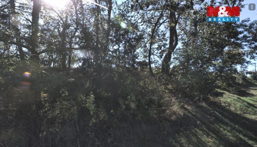 Prodej pozemku, Červená Lhota, 4173 m2