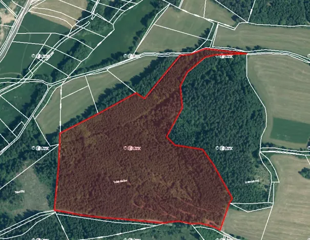 Prodej lesa, Volenice, 84000 m2