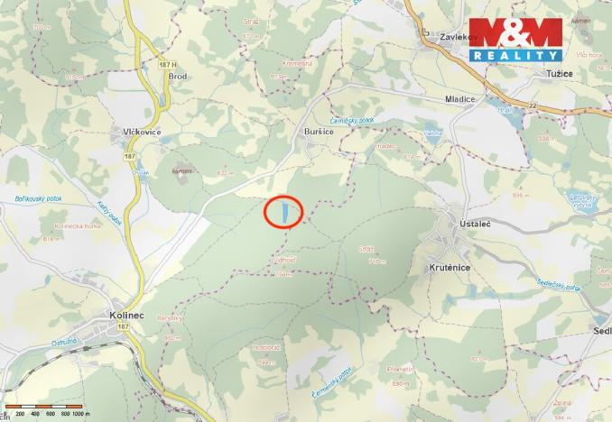 Prodej lesa, Kolinec - Buršice, 11912 m2