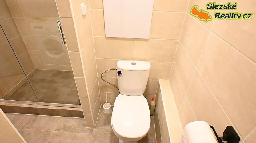 Pronájem bytu 1+1, Paskov, Papírenská, 44 m2