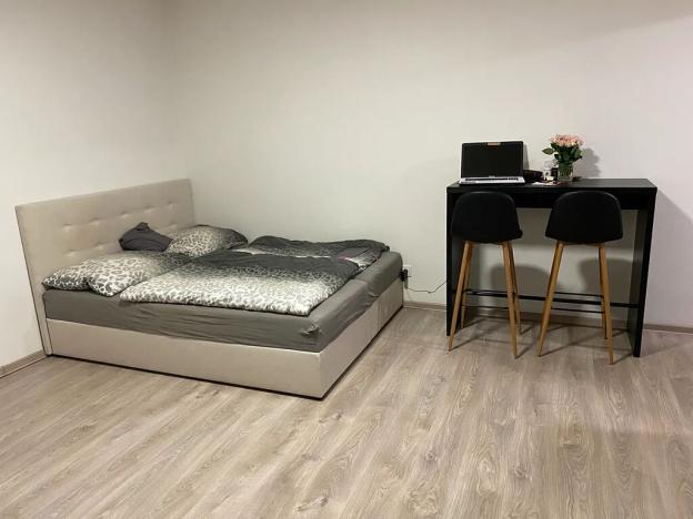 Pronájem bytu 1+kk, Brno, Křenová, 30 m2