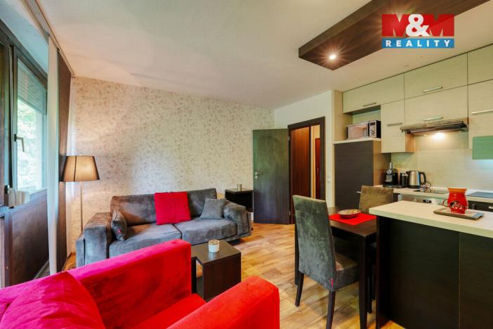 Pronájem bytu 2+kk, Železná Ruda - Alžbětín, 53 m2