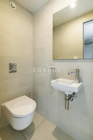 Pronájem bytu 4+kk, Praha, Holečkova, 212 m2