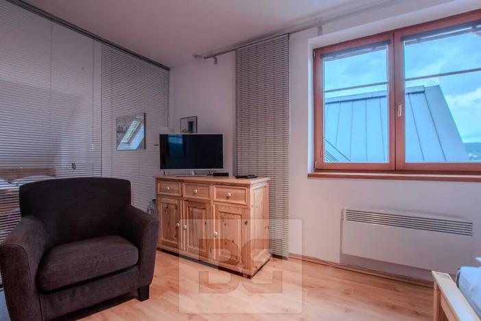 Pronájem bytu 3+kk, Vítkovice, 74 m2