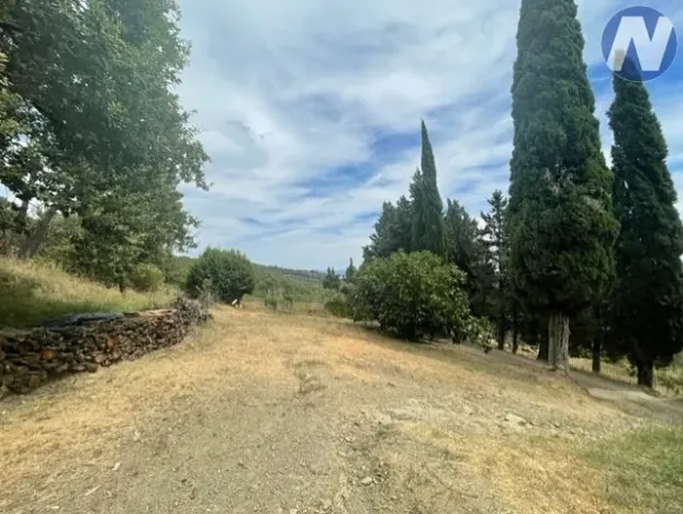 Prodej zemědělské usedlosti, Arezzo, Itálie, 300 m2