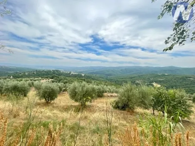 Prodej zemědělské usedlosti, Arezzo, Itálie, 300 m2