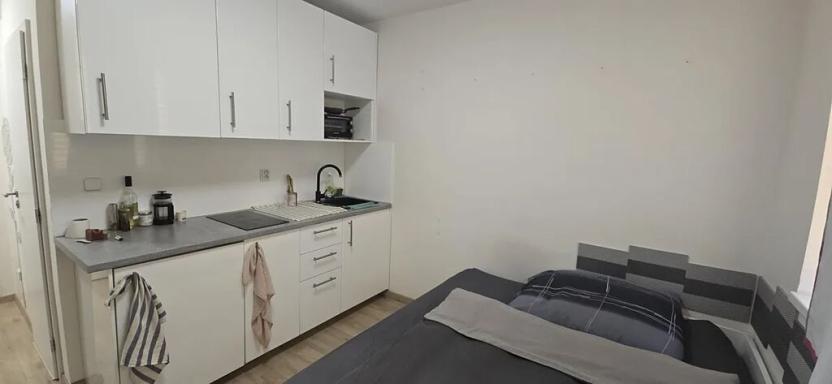 Pronájem bytu 1+kk, Praha - Jinonice, Peroutkova, 16 m2