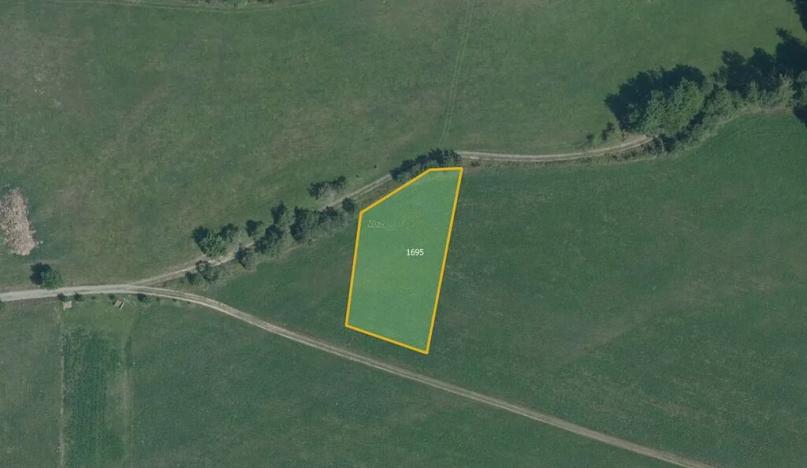 Prodej louky, Rovensko, 8009 m2