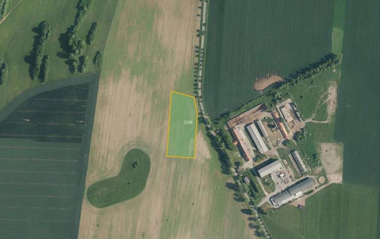 Prodej podílu pole, Ostrov u Macochy, 4816 m2