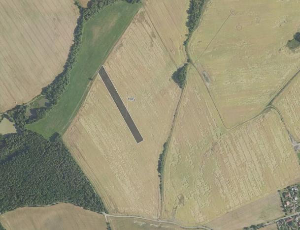 Prodej pole, Podluhy, 19084 m2