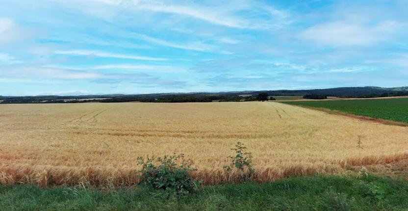 Prodej pole, Plumlov, 22512 m2