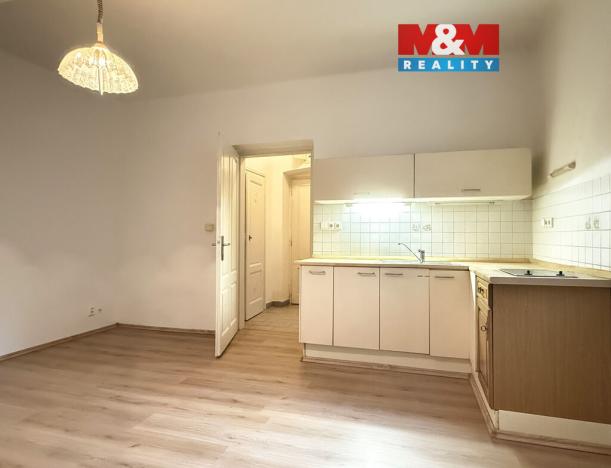 Pronájem bytu 1+kk, Plzeň - Jižní Předměstí, Němejcova, 33 m2