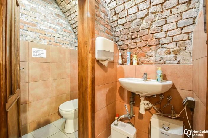 Pronájem komerční nemovitosti, Olomouc, 8. května, 50 m2