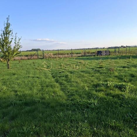 Prodej zahrady, Hněvotín, 507 m2