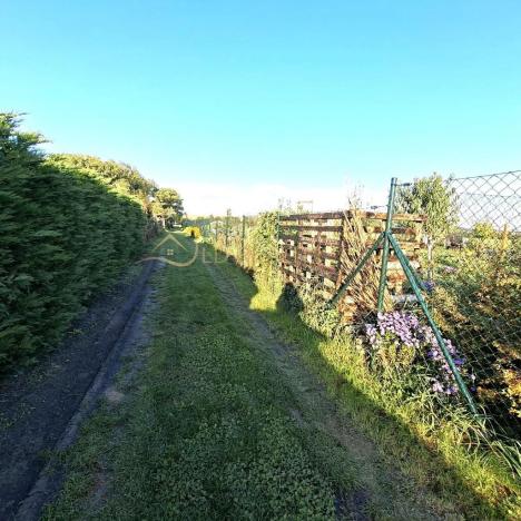 Prodej zahrady, Hněvotín, 507 m2