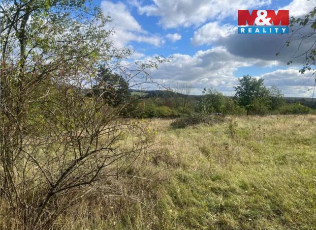 Prodej zahrady, Lešany, 5897 m2