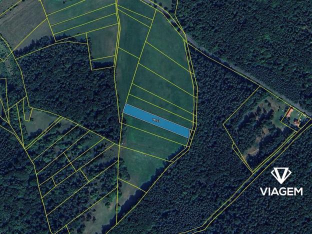 Prodej podílu pole, Branov, 1372 m2