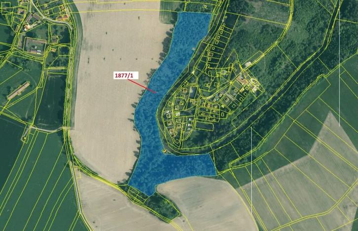 Dražba lesa, Římov, 49760 m2