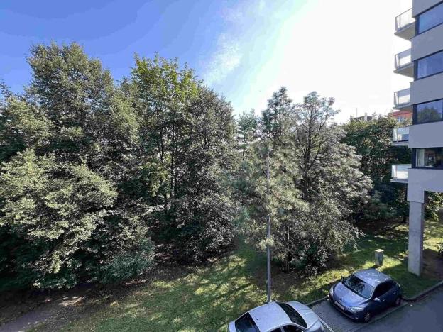 Pronájem bytu 2+kk, Plzeň, Koterovská, 59 m2