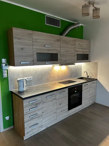 Pronájem bytu 1+kk, Praha - Žižkov, Olšanská, 36 m2