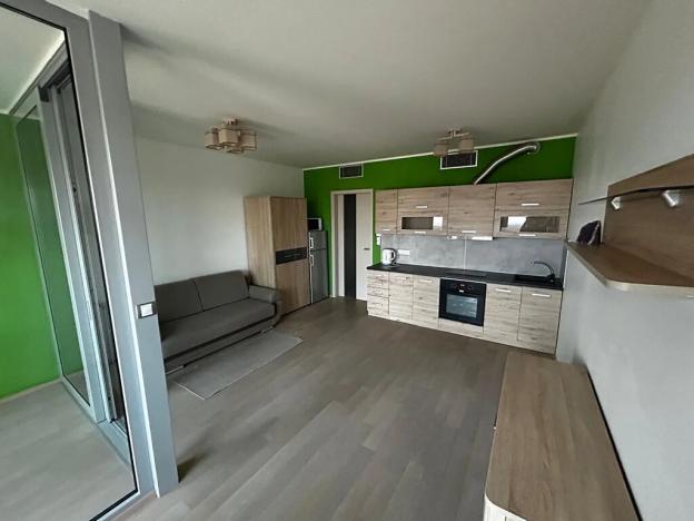 Pronájem bytu 1+kk, Praha - Žižkov, Olšanská, 36 m2