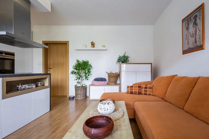 Pronájem bytu 2+kk, Hostivice, Žitná, 45 m2