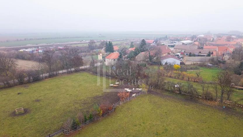 Prodej pozemku, Třebíz, 161602 m2