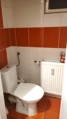 Prodej bytu 1+1, Plzeň, Tělocvičná, 47 m2